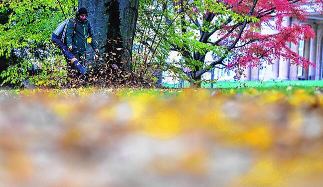 Ein Arbeiter bläst mit einem Laubbläser Herbstblätter im Park vor dem Stuttgarter Schloss Hohenheim zusammen.