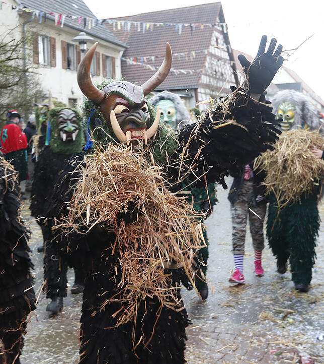 Bild 38: Bilder zum großen Narrentreffen in Pfohren (4)