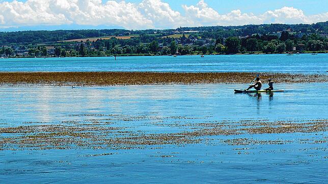 Blick von der Konstanzer Seestraße auf den See mit niedrigem Wasserstand am 12. Juli 2022. Auch in den kommenden Wochen ist mit ...