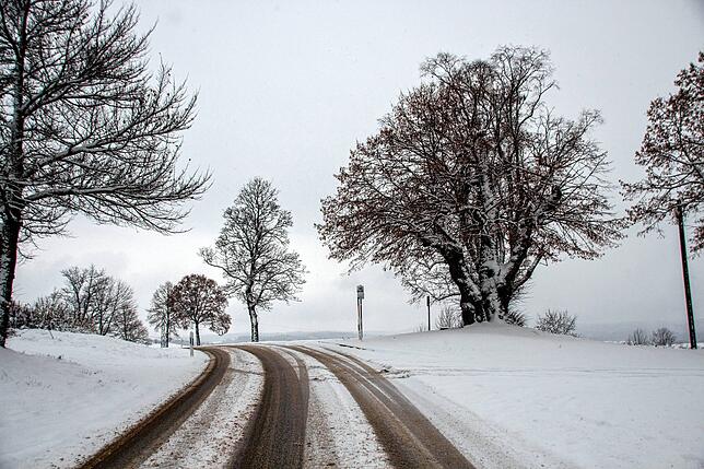 Bild 3: So schön war der erste Schnee im Hegau!