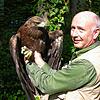 Adler Artus, hier mit Tierpfleger Hubert Rossa, war einer der Attraktionen im Waldshuter Wildgehege.
