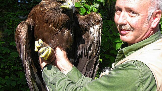 Adler Artus, hier mit Tierpfleger Hubert Rossa, war einer der Attraktionen im Waldshuter Wildgehege.