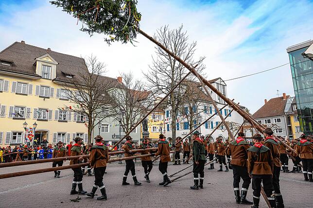 Bild 15: Bilder vom Narrenbaumstellen der Narrizella Ratoldi auf dem Marktplatz