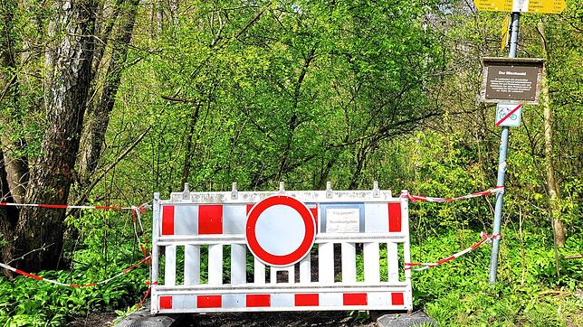 Betreten verboten: In der Klingenbachschlucht herrscht Baumbruchgefahr. 500 kranke Eschen gefährden die Wanderer. Es besteht das Risiko, ...