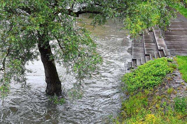 Der Rhein bei Bad Säckingen am 31. Mai 2024.