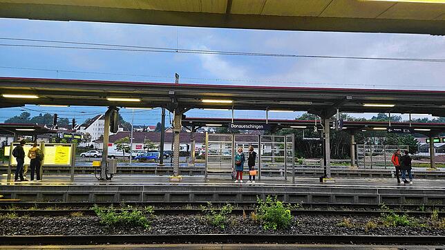 Der Donaueschinger Bahnhof: Im Zweistundentakt verkehren Regional-Express-Züge der Linie RE 55 zwischen Ulm und Donaueschingen mit ...