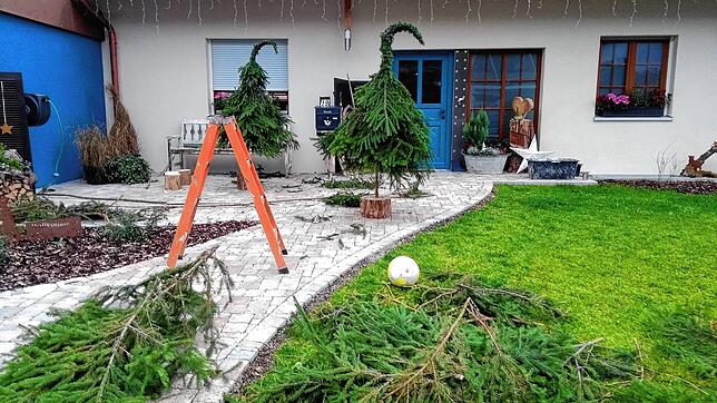 Heute beginnt die Zeit der Vorfreude auf Weihnachten: Mit der Adventsfenster-Aktion 2020 laden die Landfrauen Eggingen bereits zum 12. ...