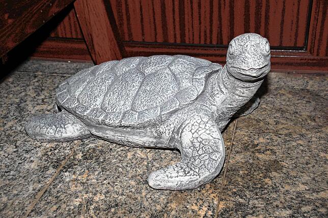 Auf der Treppe vor der Eingangstür steht eine Schildkröte.