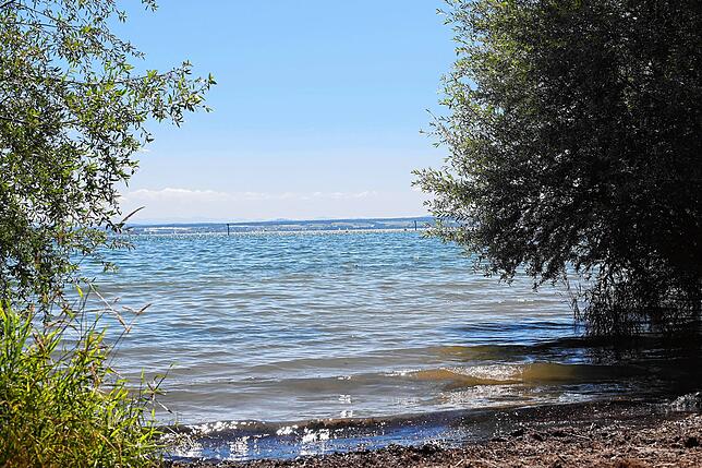 Im Naturschutzgebiet des Seehags gibt es einen kleinen, aber feinen Naturstrand mit Sand, der mehrere Seezugänge bietet.