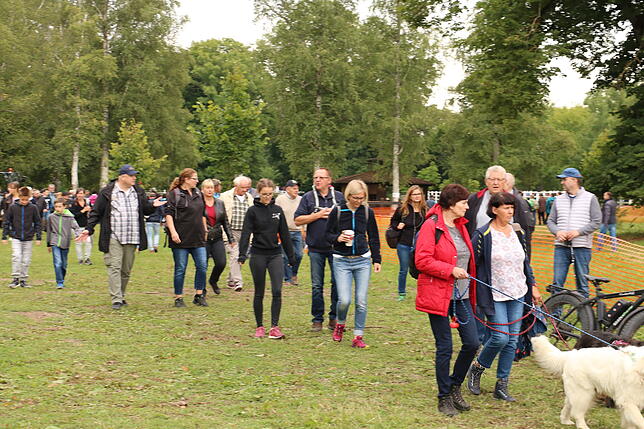 Bild 14: Bilder vom Marathon der Vierspänner beim Reitturnier in Donaueschingen