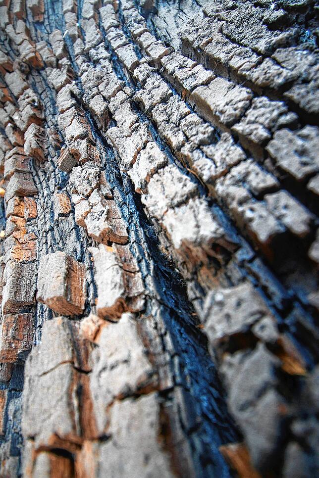Diese beeindruckende Musterung hat die Natur geformt. Vor allem die dunklen Passagen sind interessant. Ein Tipp noch: Das ist Holz.