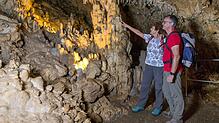 Die 330 Meter lange natürliche Tropfsteinhöhle bei Kolbingen öffnet sich am Rand einer hohen Felswand über dem Donautal und kann auf ...