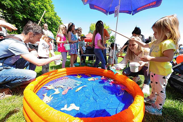 Bild 2: Das Kinderfest am Radolfzeller Konzertsegel