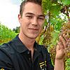 Jungwinzer Felix Gomeringer mit seinen Trauben. Er setzt ausschließlich auf pilzwiderstandsfähige Sorten wie hier Sauvignac. Der ...