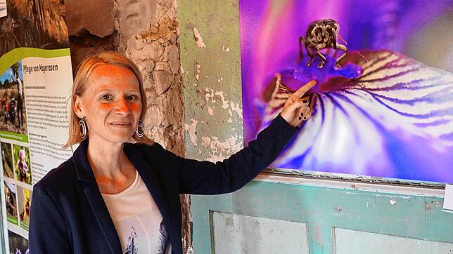 Christiane Feucht lebt und arbeitet als Pionierin im Blumenfelder Schloss. Hier zeigt sie eine Aufnahme von Heiner Werner. Das Foto ...