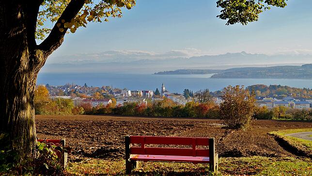 Diesen schönen Blick kennt jeder, der bislang entlang des Bodensees über die B 31 fuhr. Er bot sich einem in Überlingen-Aufkirch. Weil ...