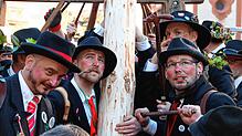 Endlich wieder! Am ersten Faissen stellen Wälder in Bad Säckingen den Narrenbaum &ndash; zuletzt war das 2020 möglich.