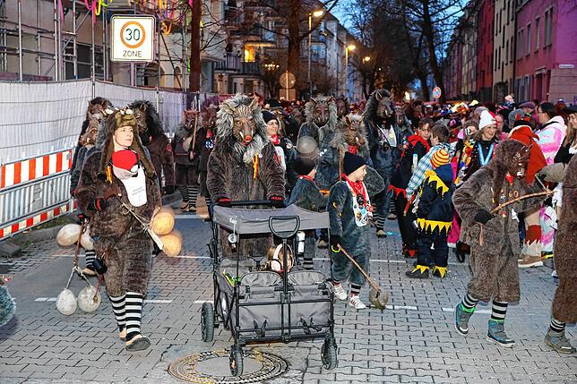 Bild 24: In Petershausen steht der Narrenbaum! Alle Fotos vom Freitagabend
