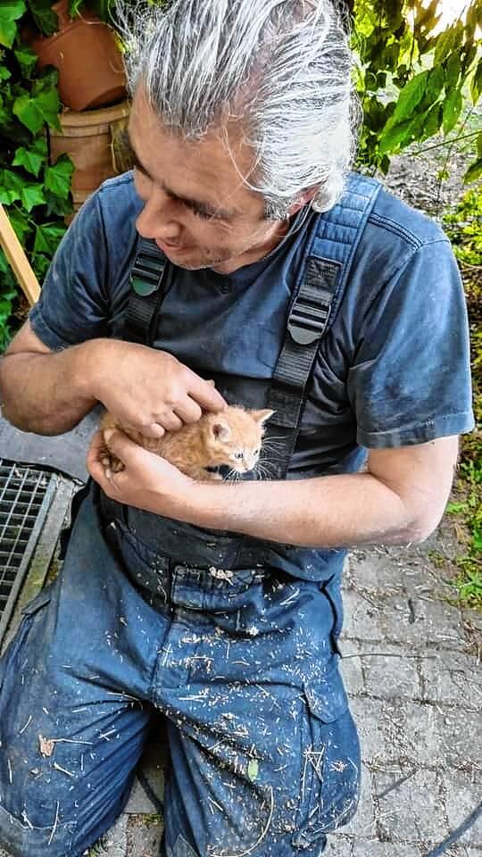 Eines der geretteten Katzenbabies.