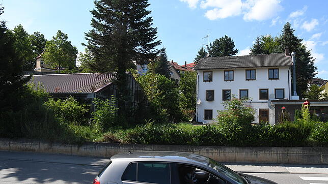 Könnte hier ein neues Hotel hinkommen? Das Gelände der ehemaligen Gärtnerei Lutz zwischen Dillstraße und Stadtwallkurve.