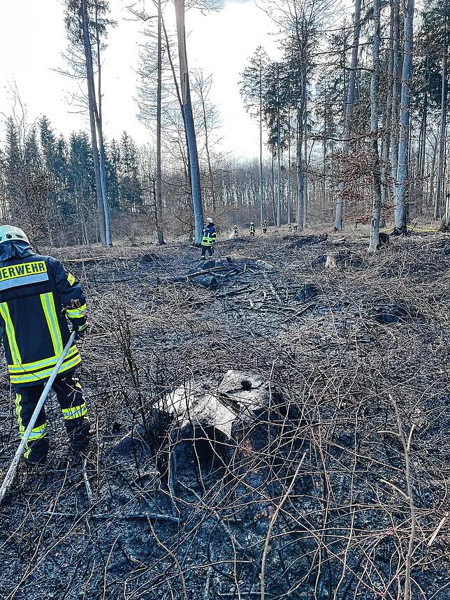 Die Mühlinger Feuerwehr musste am Samstag zu einem Flächenbrand ausrücken.