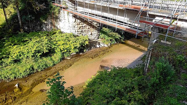 Auch Wochen nach dem Eintrag ist unterhalb der Tiefensteiner Albbrücke der aus einem Weiher abgelassene Schlick und Schlamm deutlich zu ...