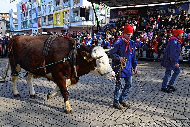 Bild 11: So schön war der Fastnachtsumzug in Bad Dürrheim