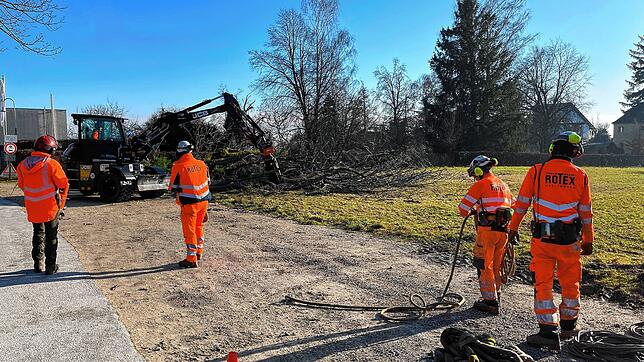 Vor der Jugendherberge wurden die abgesägten Bäume am Mittwoch zerkleinert.