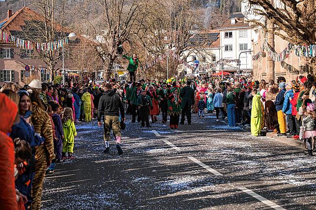 Bild 31: Unvergessliche Bilder vom Rosenmontagsumzug in Gottmadingen: So bunt war die Fasnacht 2025!