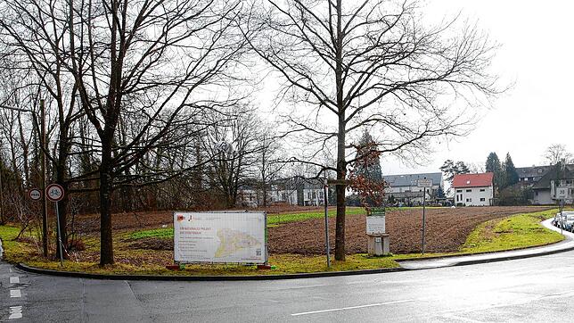 Auf dieser Freifläche (Bildmitte) am Lorettowald, die umgeben ist von der Eichhornstraße (links), dem Hermann-Hesse-Weg (nach rechts ...