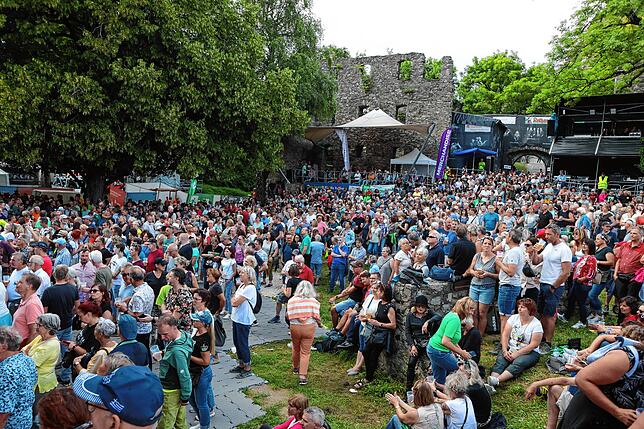 Bild 39: Hohentwiel-Festival mit der Spider Murphy Gang - Bilderstory Teil 1