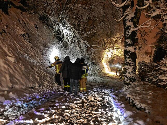 Knifflige Aufgabe: Einsatzkräfte der Feuerwehr Waldshut beraten am Donnerstagabend, wie der Baum, der wegen des starken Schneefalls auf ...