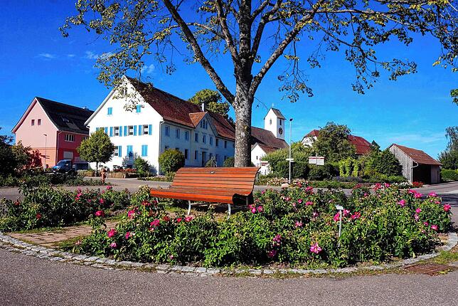 Auch wenn die Rosen an diesem Platz schon fast alle verblüht sind, Nöggenschwiel ist immer eine Augenweide.
