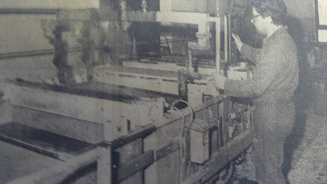 Anfang der 1970er Jahre wurde die erste Brünieranlage des Unternehmens noch am Standort in Grünwangen in Betrieb genommen.