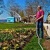 Überall auf dem Gelände der Landesgartenschau blüht es. Doch werden das wohl nur wenige Menschen zu sehen bekommen, wie dieser ...