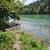 Die Badestelle am Hochrhein, an der die sechs Menschen ins Wasser gingen