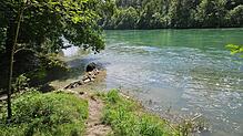 Die Badestelle am Hochrhein, an der die sechs Menschen ins Wasser gingen