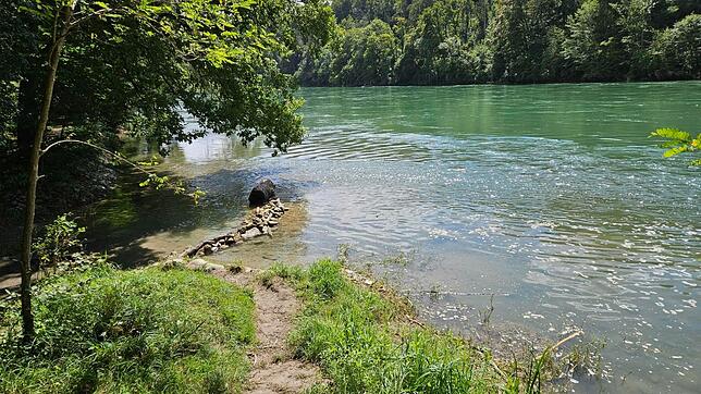 Die Badestelle am Hochrhein, an der die sechs Menschen ins Wasser gingen