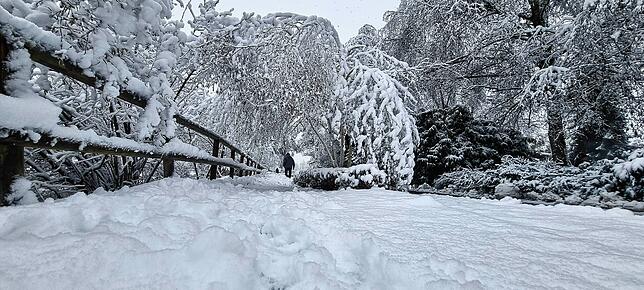 Bild 21: Was für ein Wintereinbruch am Bodensee: Die schönsten Schnee-Bilder vom Wochenende