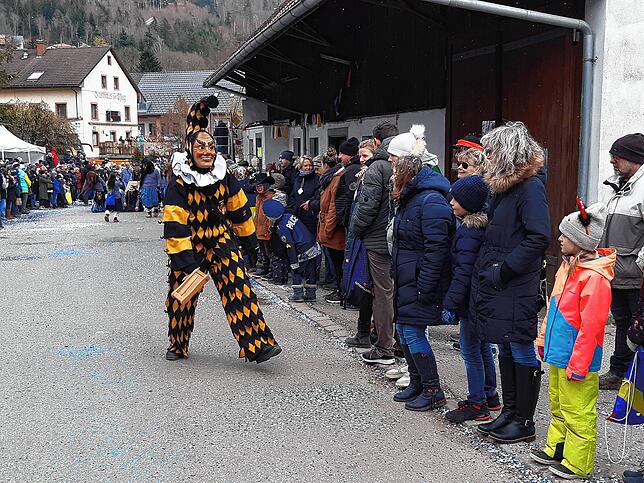 Bild 27: Die schönsten Bilder vom großen Habufa-Umzug in Hasel (2)