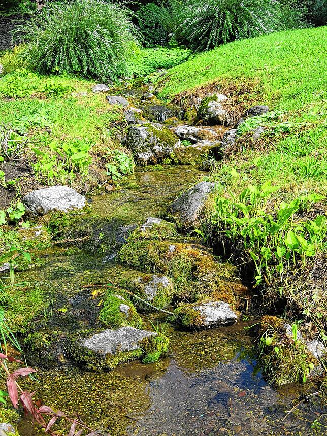 Fließend: Der junge Ehrenbach begleitet den Besucher des Japanischen Gartens und speist die Teiche und den Wasserfall.
