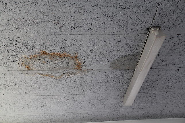 Von der Decke der Sporthalle der Ratoldusschule tropft es. Die Lehrer bemängeln den Zustand des Gebäudes.