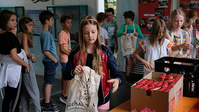 Die Schüler der Klasse 4b aus Fischbach sind konzentriert bei der Sache, während sie den Hasenklee packen.