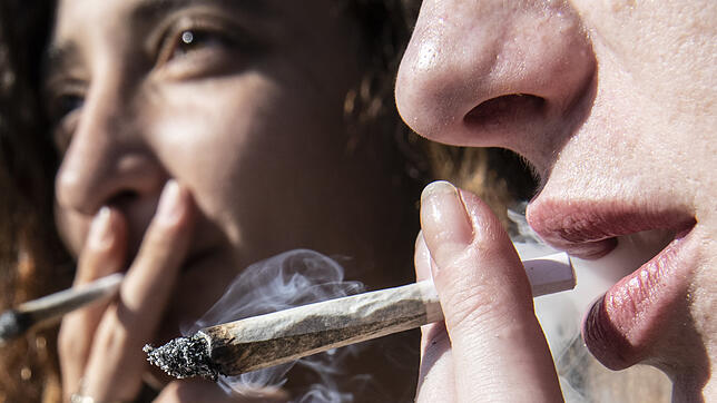 Cannabis-Konsum ist weit verbreitet &ndash; harmlos ist er nicht, sagen Sucht-Berater.