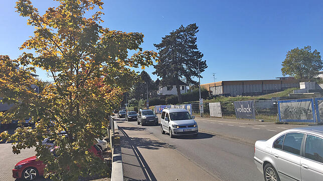 Zusätzlich zu den Bäumen am Rande des Parkplatzes auf der östlichen Seite der Lippertsreuter Straße könnte eine ähnliche Baumreihe vor ...