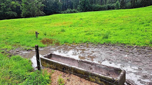 Bild 7: Unwetter am Bodensee: Die Folgen rund um Markdorf aus