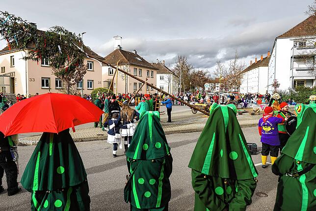 Bild 12: Bilder des Narrenbaumstellens der Froschenzunft Radolfzell