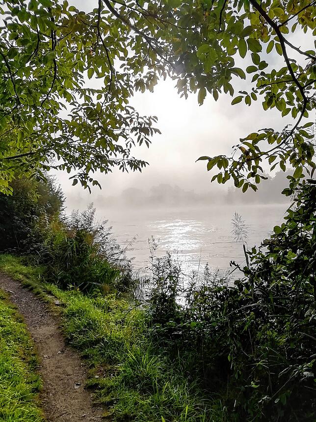 Morgenspaziergang zwischen Lauffen und Kadelburg.