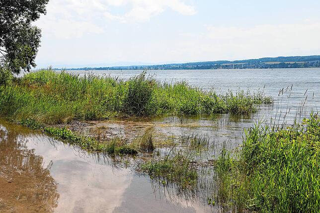 Bild 20: Hochwasser am Bodensee: Wasserstand vor Konstanz erneut über fünf Metern