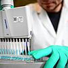 Ein Mitarbeiter des Labors des Tübinger Unternehmens Curevac pipettiert eine blaue Flüssigkeit. Der Impfstoff des biopharmazeutischen ...